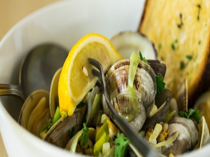 Northeast Seafood Kitchen