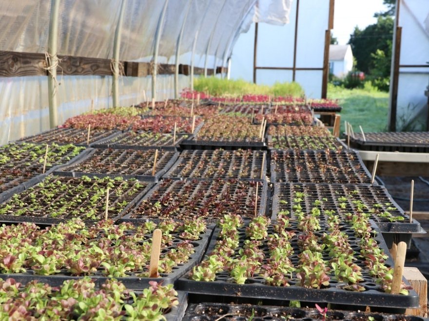 Chesterfield Heirlooms